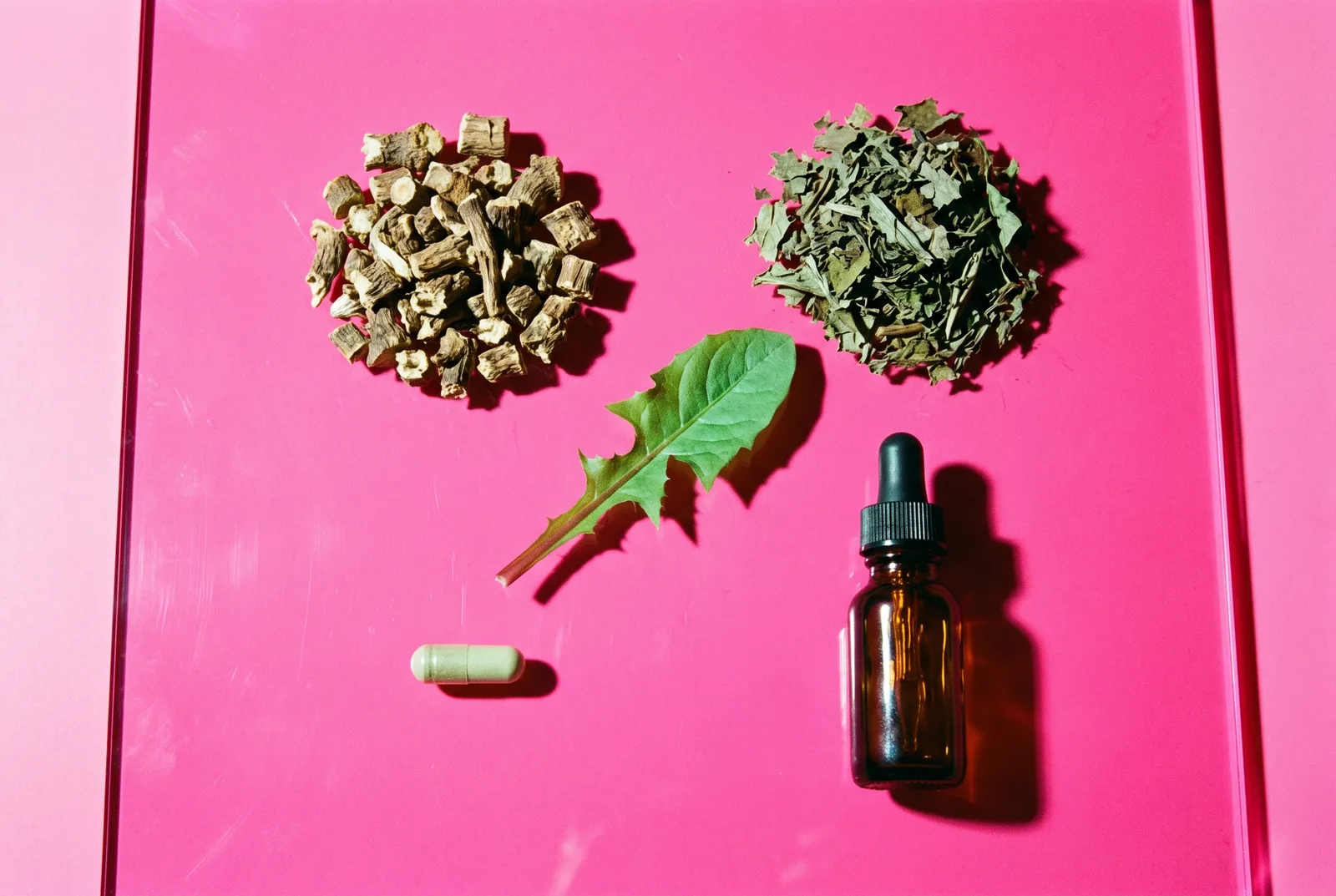 Dried dandelion root, loose leaf, a green capsule and a tincture bottle arranged in a grid on glossy pink acrylic