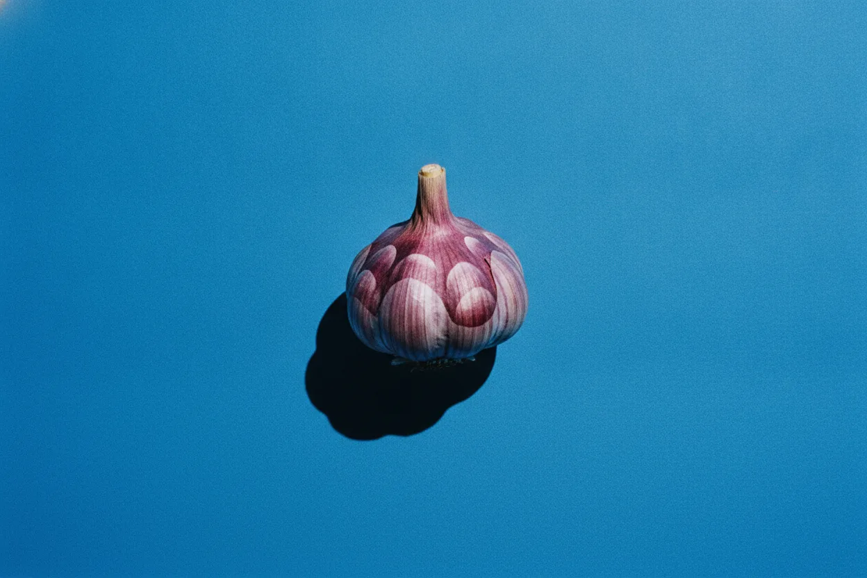 A single whole garlic bulb with papery purple-white skin stands on a smooth cobalt-blue background under harsh flash lighting.